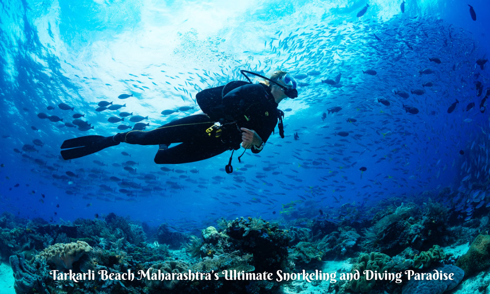 Tarkarli Beach Maharashtra’s Ultimate Snorkeling and Diving Paradise