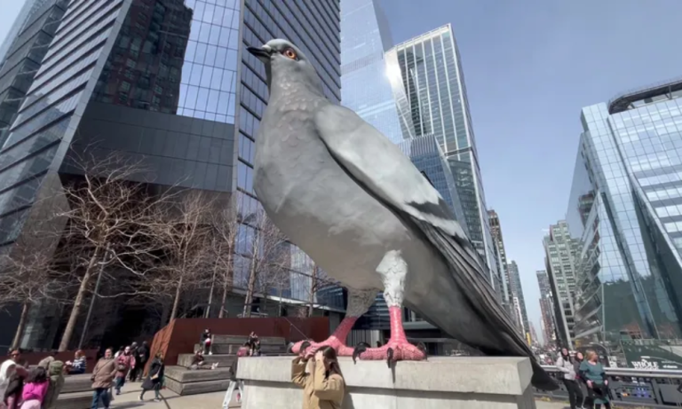 This Pigeon’s Farewell Party in New York